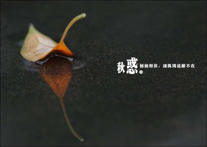  :ģ3еǨ
 ߣ
 :2014-11-19 10:26:10
 :1907